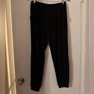 Express Pull On Jogger Pants Small